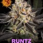 Насіння конопель Runtz від Barney's Farm